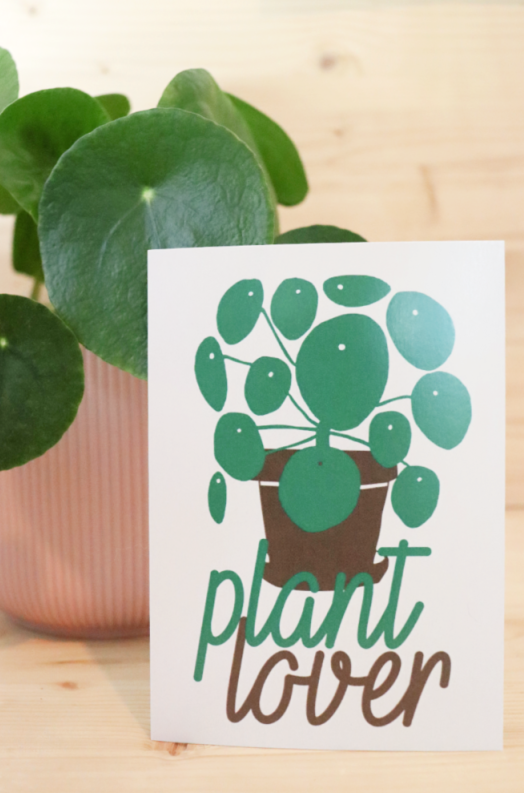 Postkarte plant lover pilea